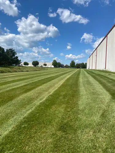 Crisp mowing stripes on a commercial lawn