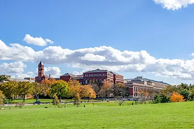 Year-round commercial landscape maintenance